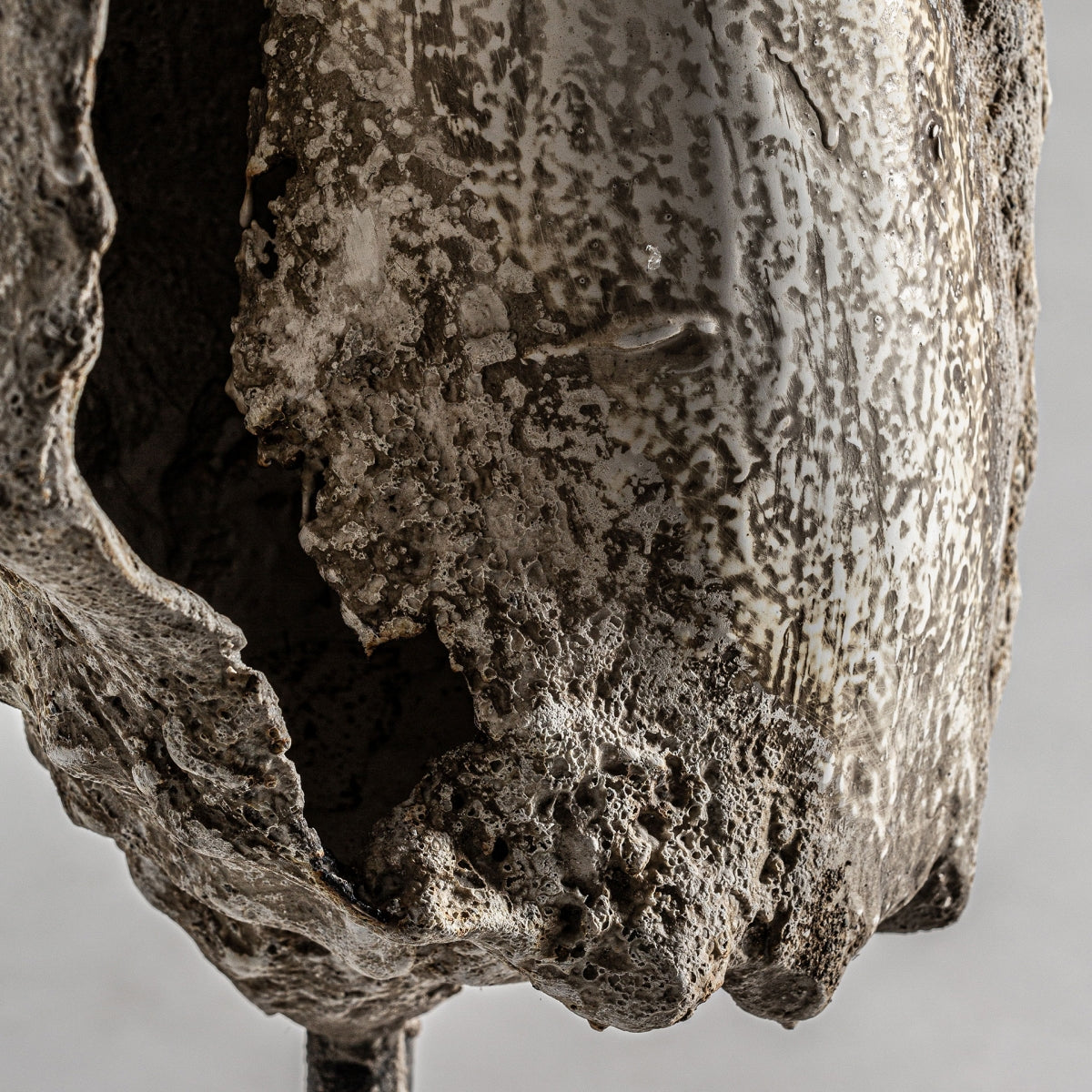 UNIQUE DECORATIVE FIGURE CONCH 100