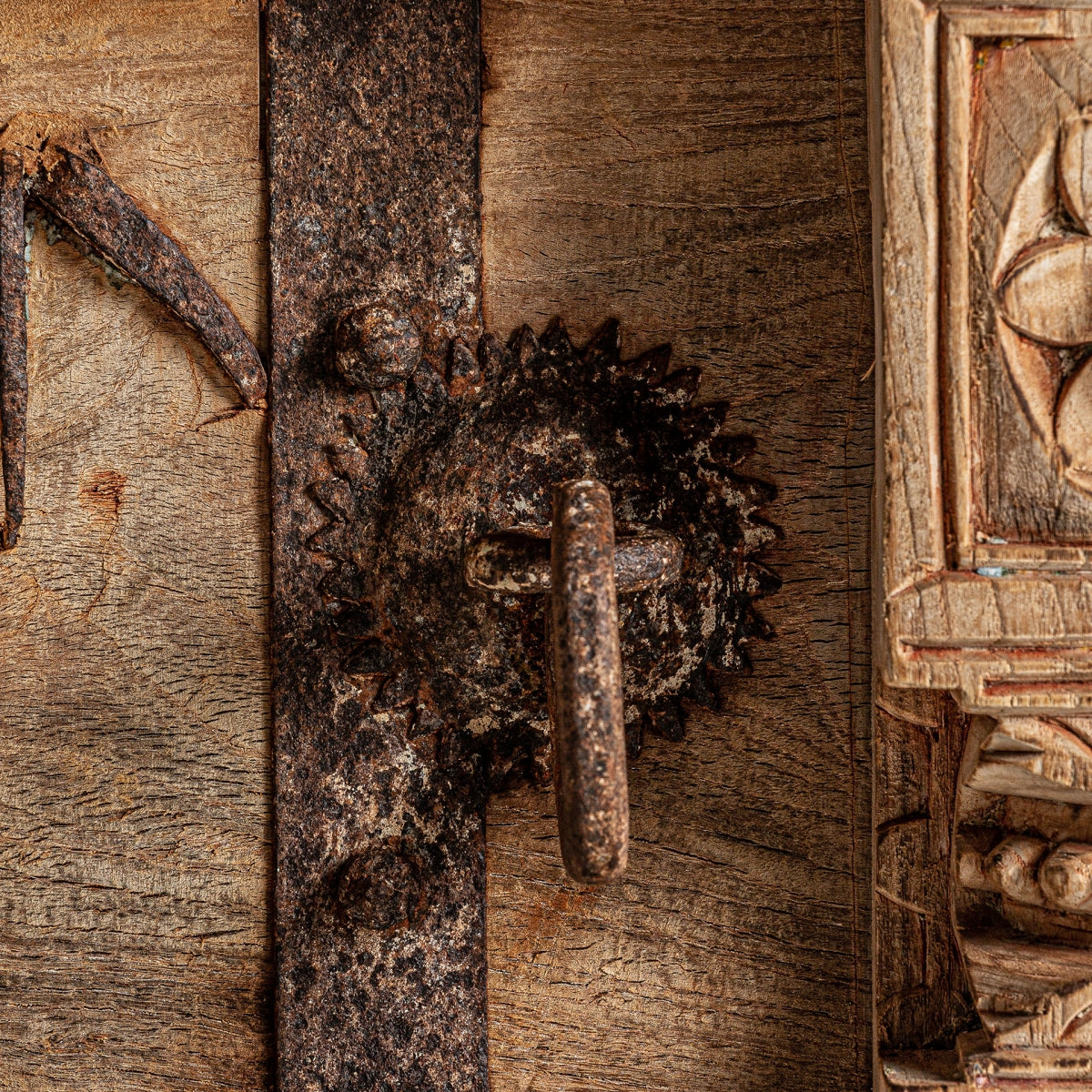 УНИКАЛНА ТВ ШКАФЧЕТА PHALODI