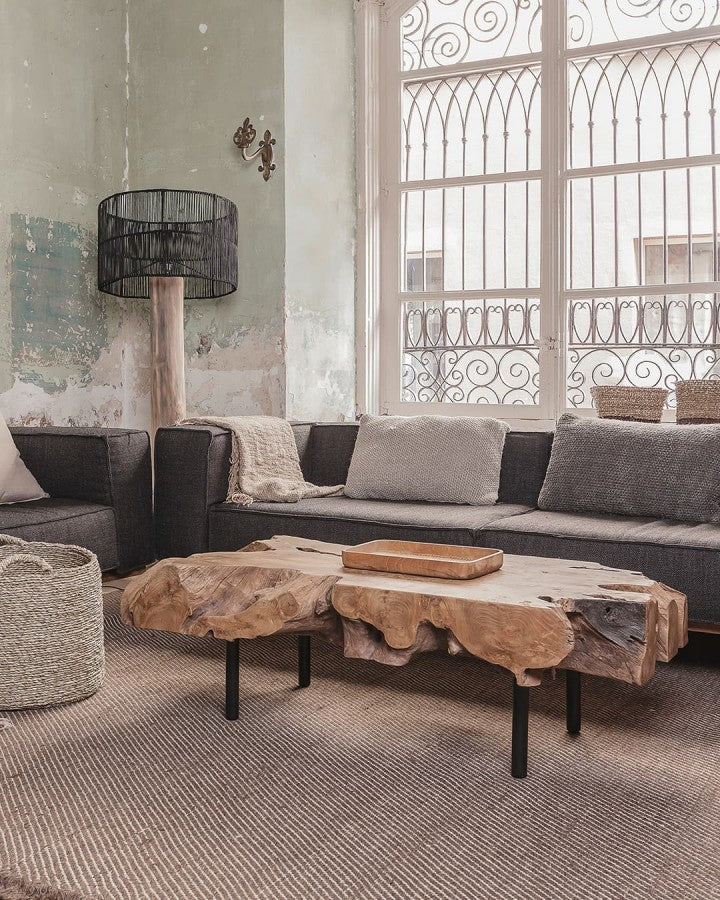 ХОЛНА МАСА ROOT NAT