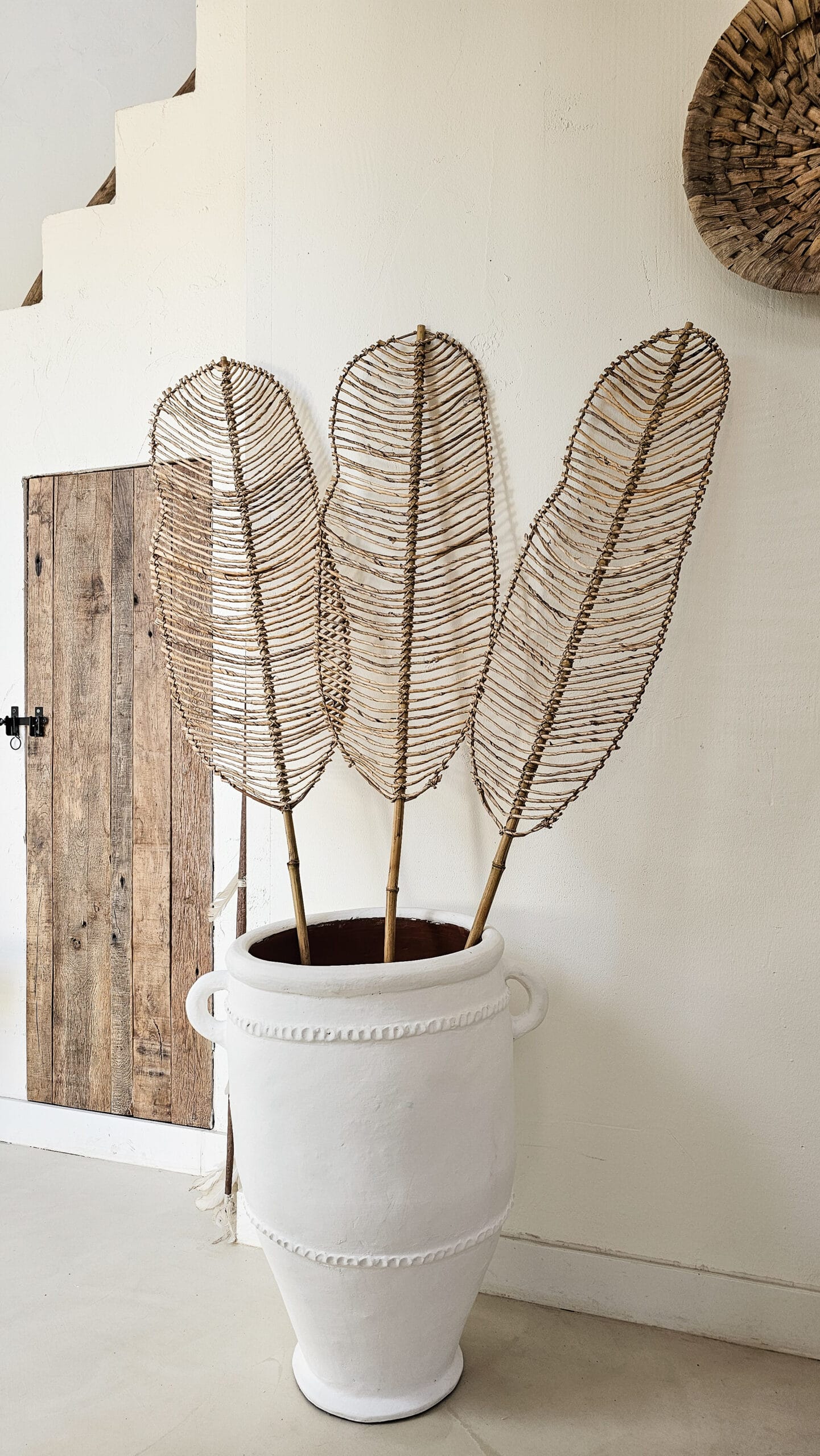 МАЙМУНСКО ДЪРВО ЛИСТ