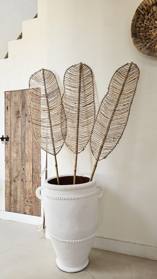 МАЙМУНСКО ДЪРВО ЛИСТ