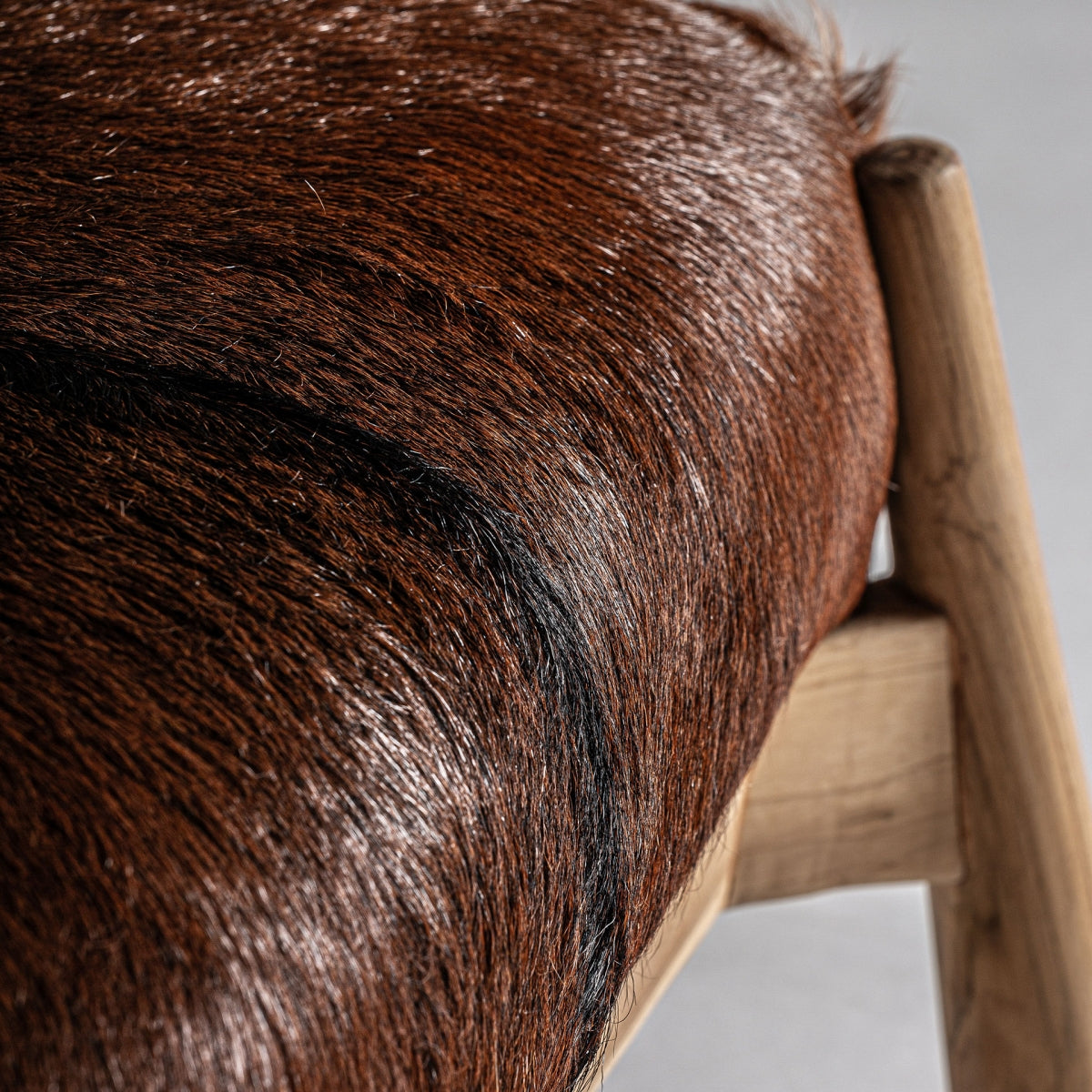 Фотьойл NORDIC PAYERNE