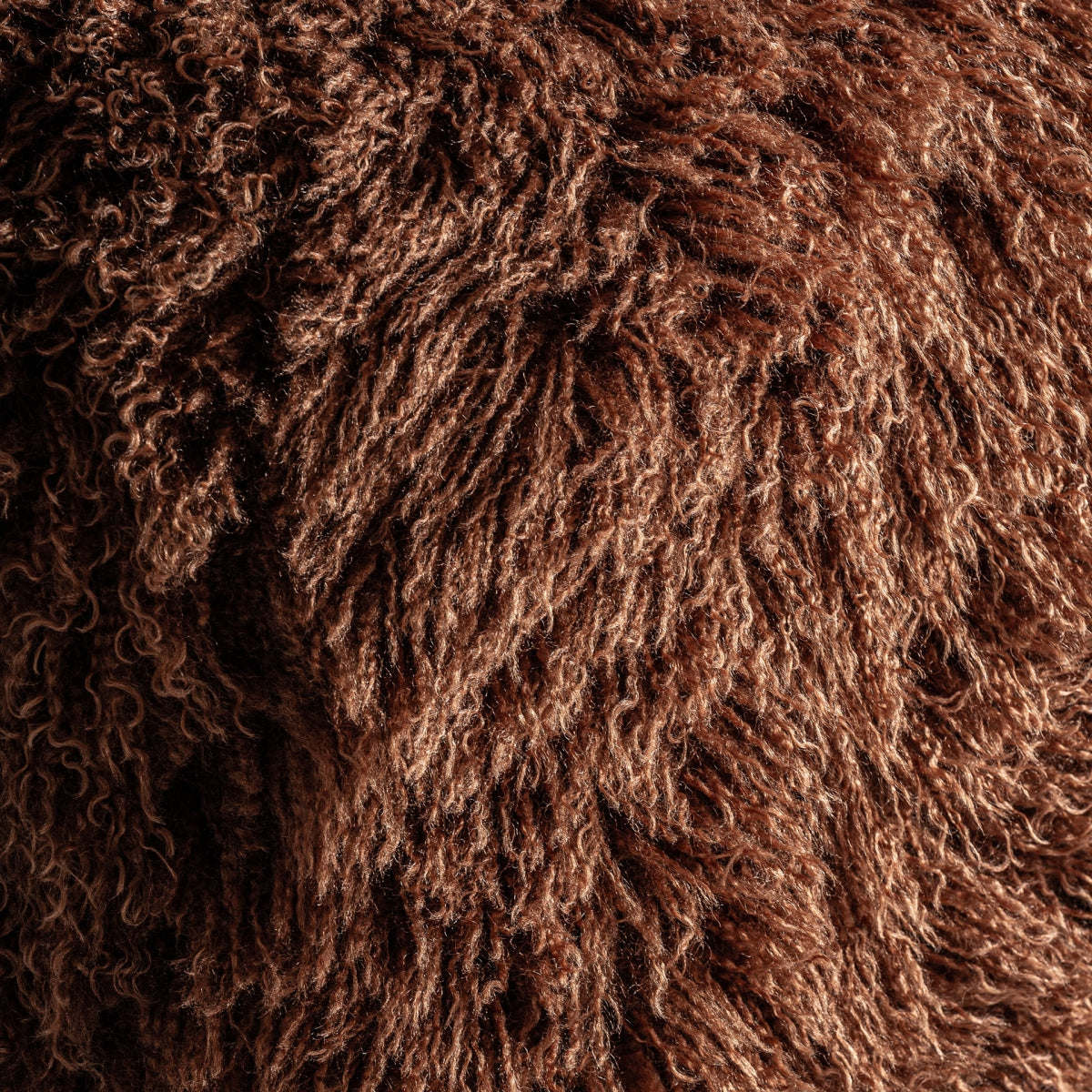 Фотьойл Павия