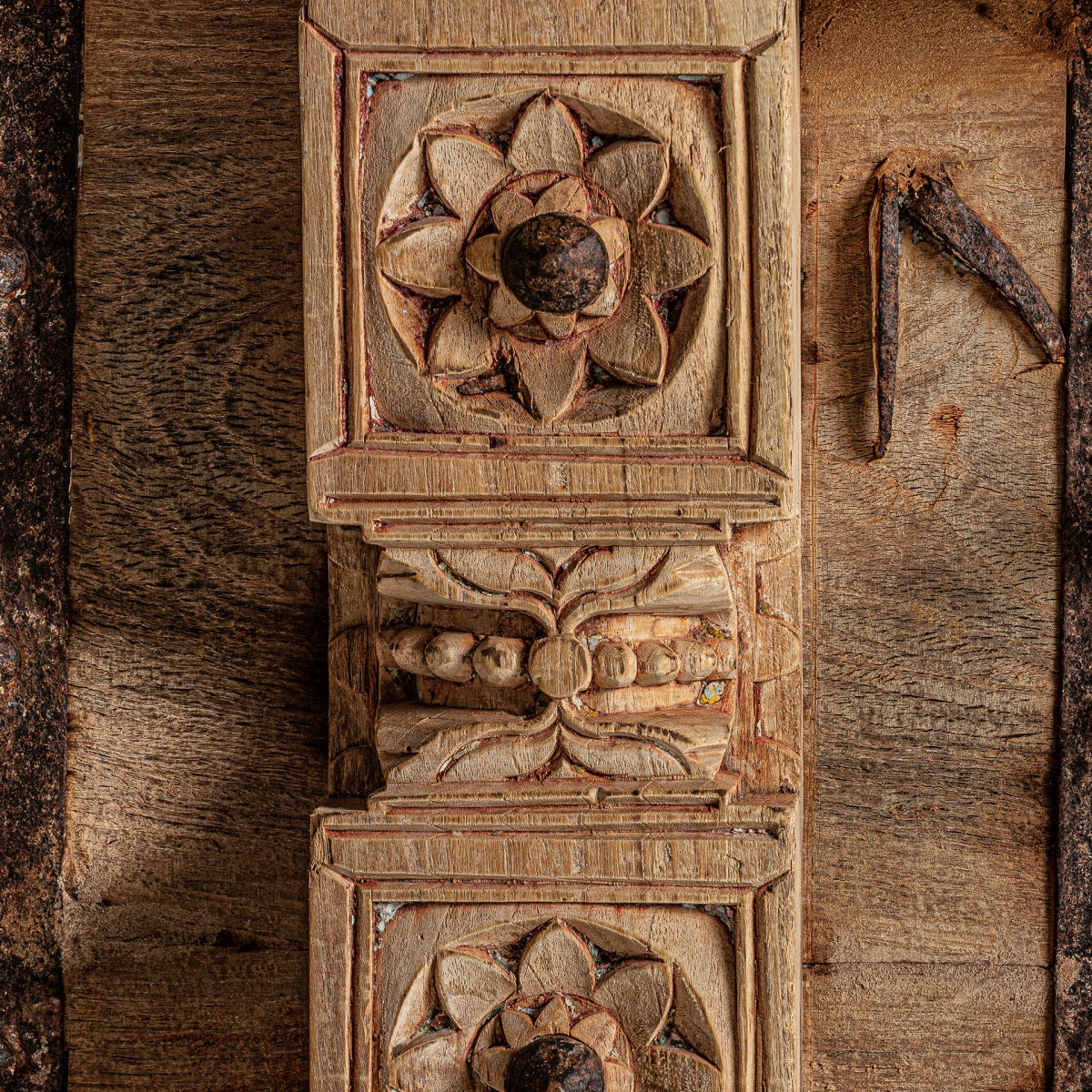 УНИКАЛНА ТВ ШКАФЧЕТА PHALODI