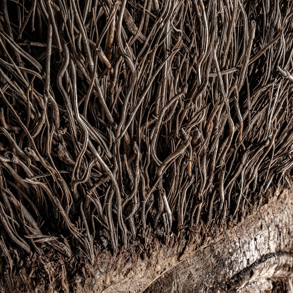 АНТИЧНА БЮСТНА СКУЛПТУРА