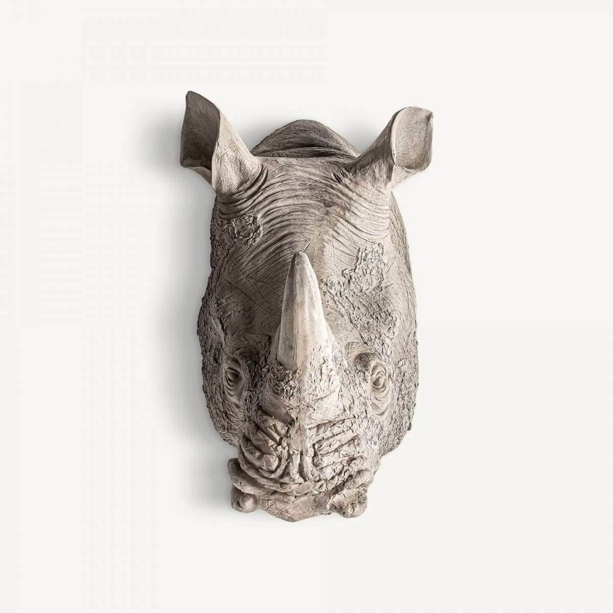 Бюст на Риносеронте