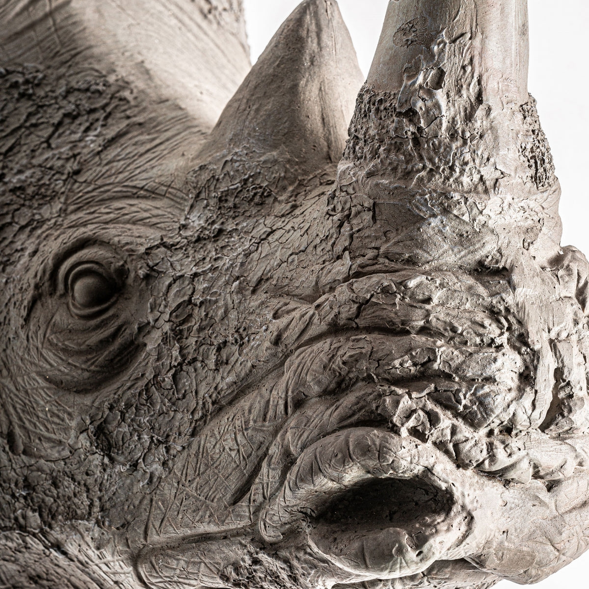 Бюст на Риносеронте