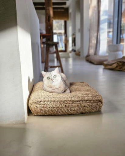 МАТРАК ОТ АНАНАС ЛИСТА 52