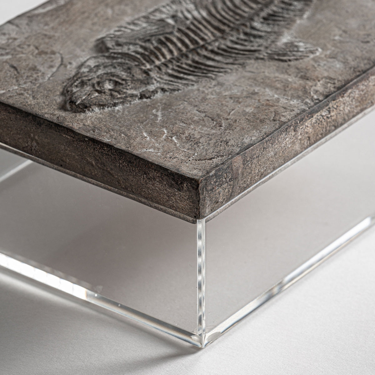 ДЕКОРАТИВНА КУТИЯ