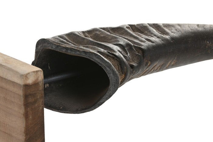 DECORATION BUFFALO HORNS SET 3