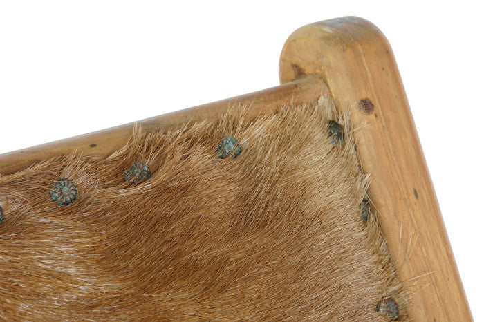 ФОТОГАЛ ОТ ТИК/ТЕЛЕШКА КОЖА