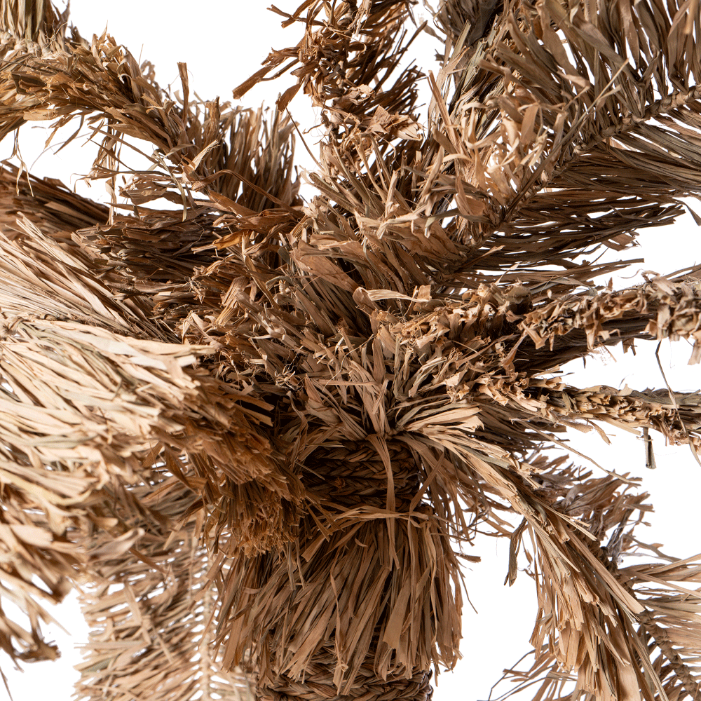 ДЕКОРАТИВНА ПАЛМА*220