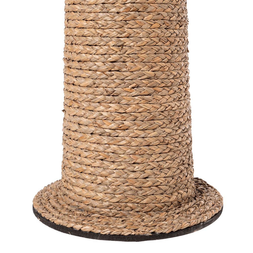 ДЕКОРАТИВНА ПАЛМА*220