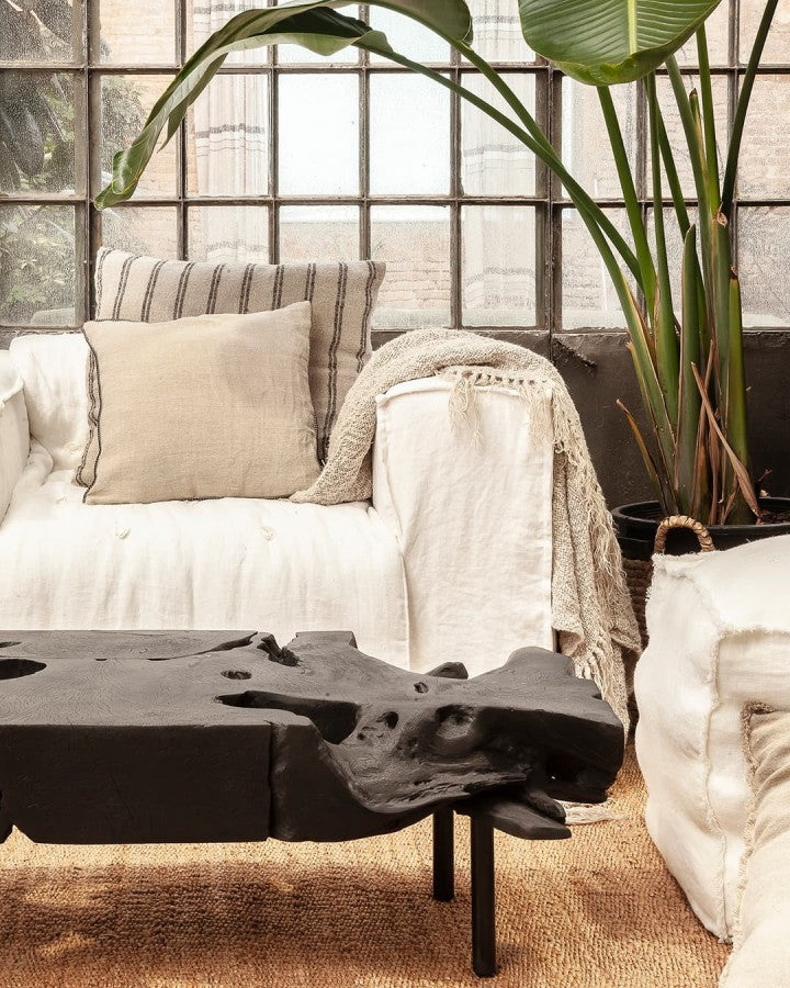 ХОЛНА МАСА ROOT BLACK 