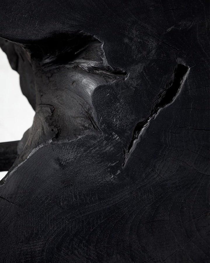 ХОЛНА МАСА ROOT BLACK 