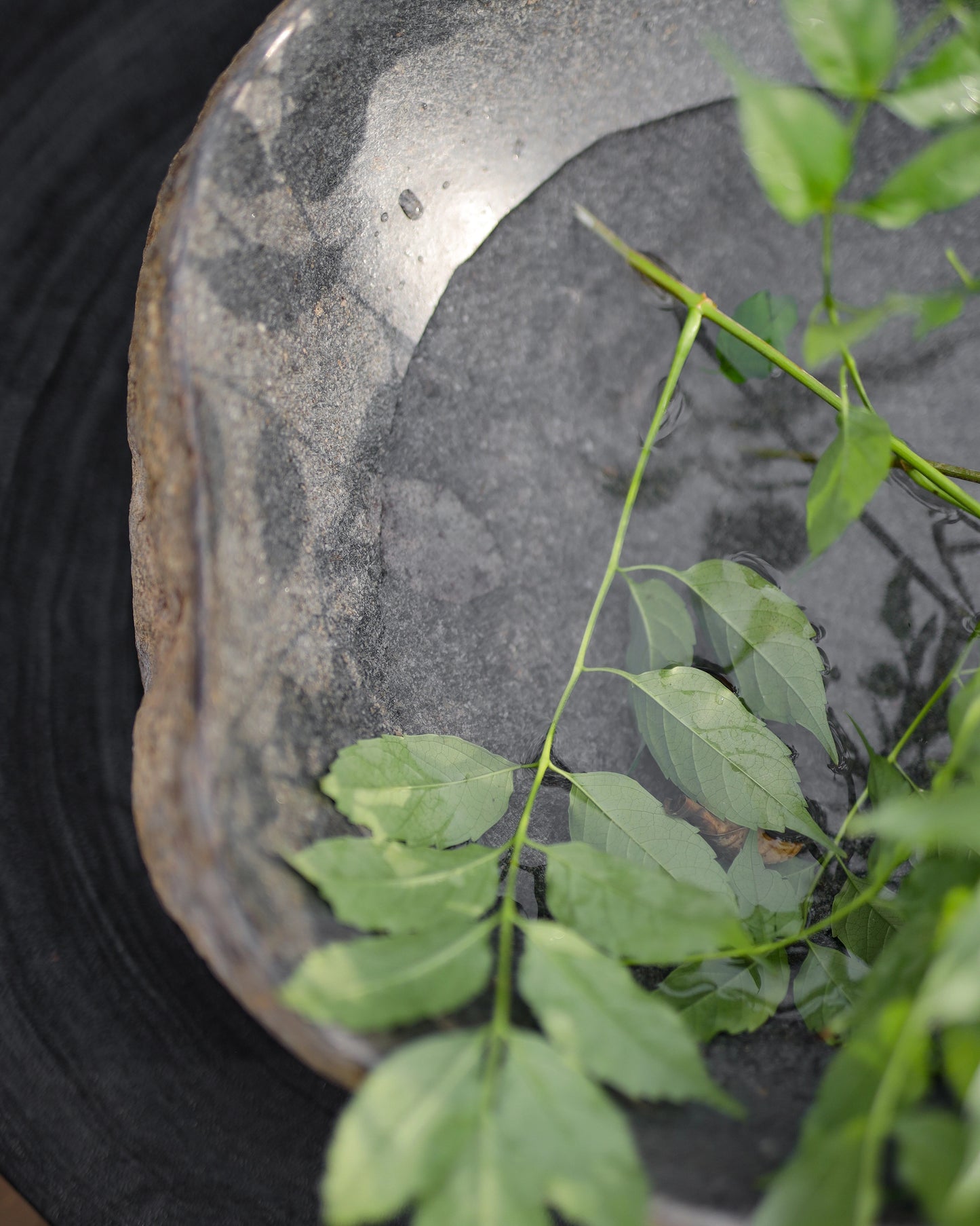 КИМИ КАМЕННА КУПА