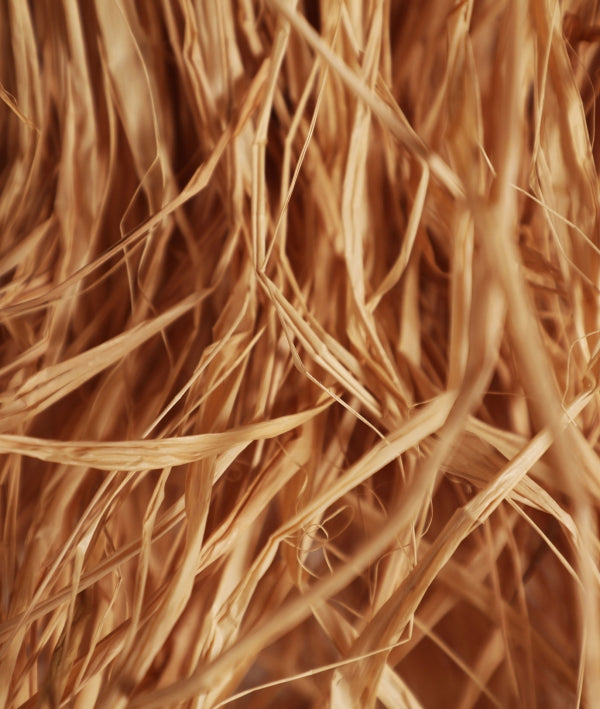 Таванна лампа KASSES