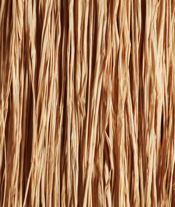 Таванна лампа KASSES