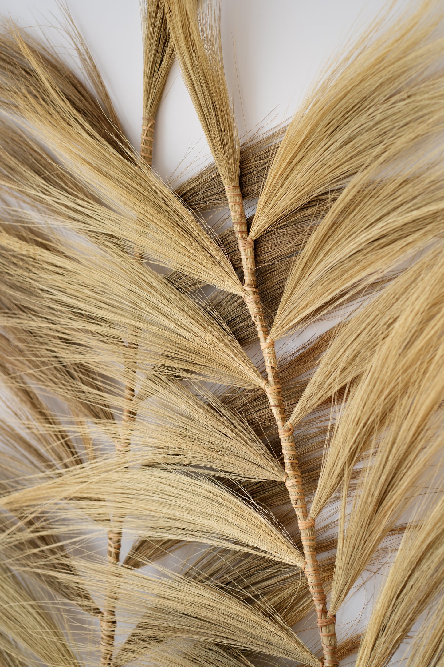 ПЛЮМ ЕСТЕСТВЕН 16O КОМПЛЕКТ 2