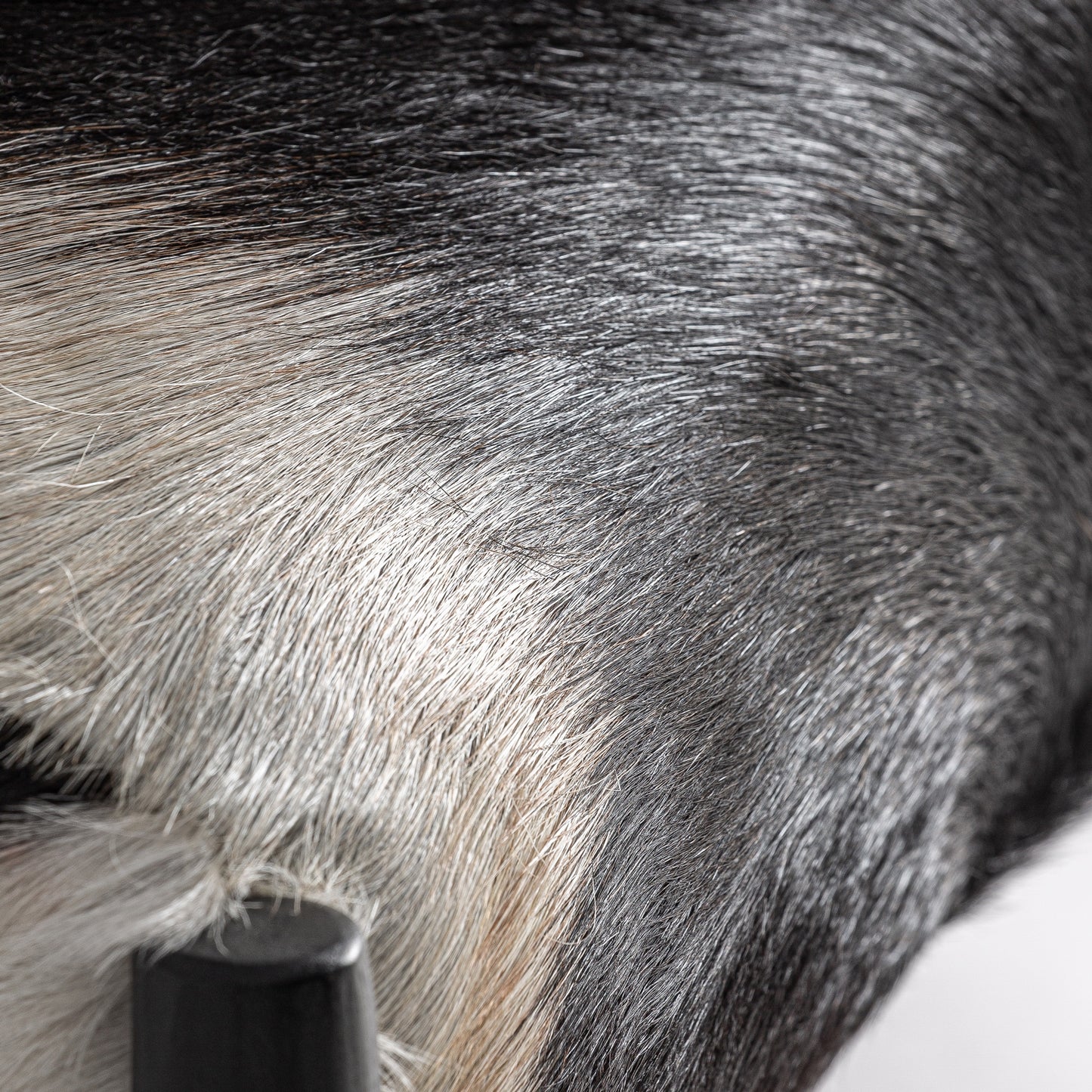 TEAK WOOD ARMCHAIR IN BLACK